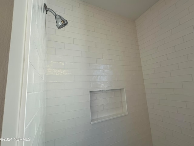 room details with tiled shower