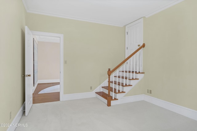 stairway with carpet floors and ornamental molding