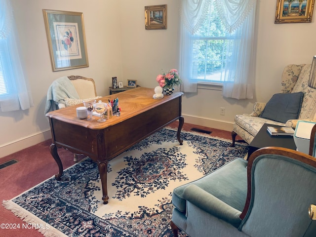 view of carpeted office space