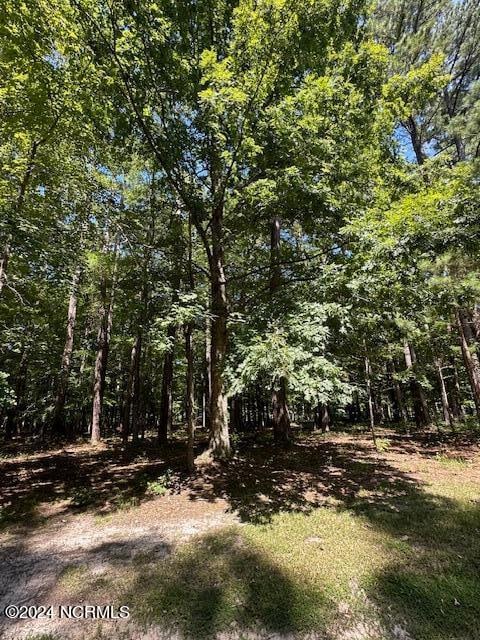 109 Chatooga Ct E, Hertford NC, 27944 land for sale