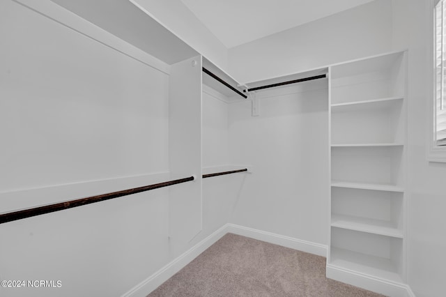 spacious closet with light colored carpet