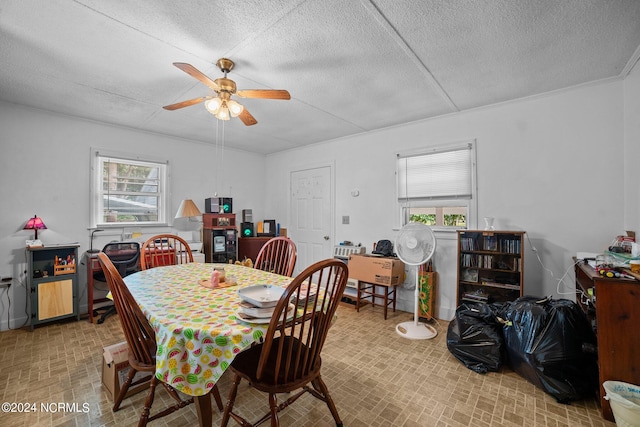 dining space with ceiling fan and a textured ceiling