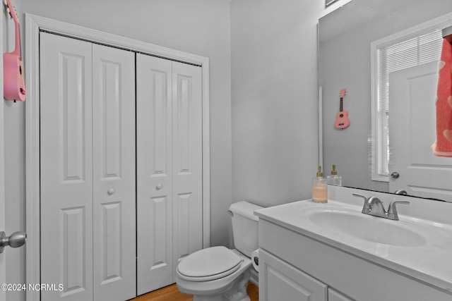 bathroom featuring vanity, toilet, and wood-type flooring