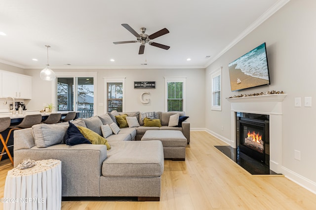 living room featuring ceiling fan, ornamental molding, and light wood-type flooring