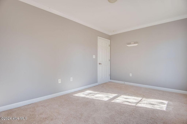 carpeted empty room with crown molding