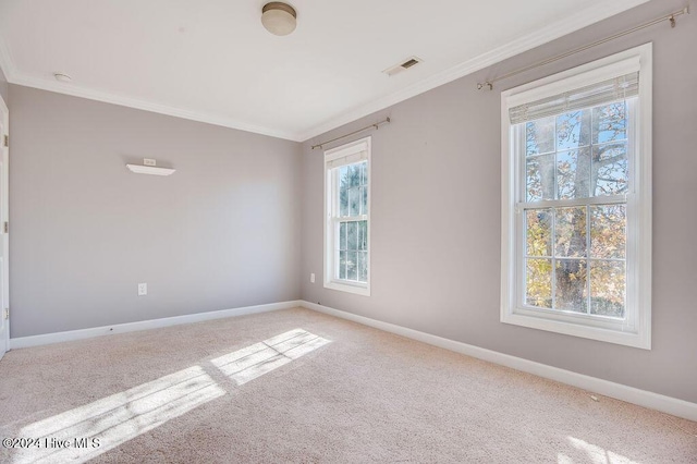 empty room featuring carpet flooring and ornamental molding