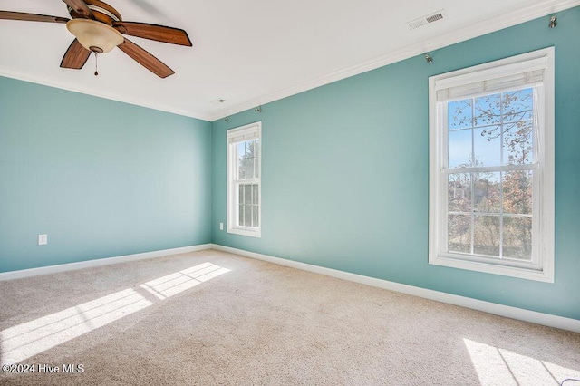 spare room featuring carpet, ceiling fan, and crown molding