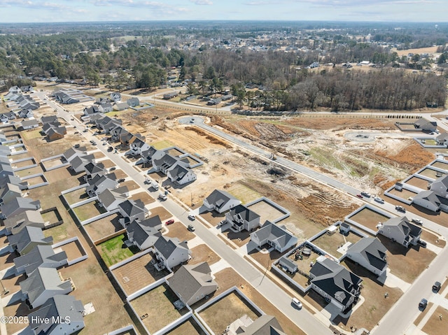 bird's eye view