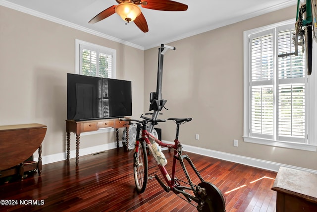 workout area with ceiling fan, dark hardwood / wood-style floors, and ornamental molding