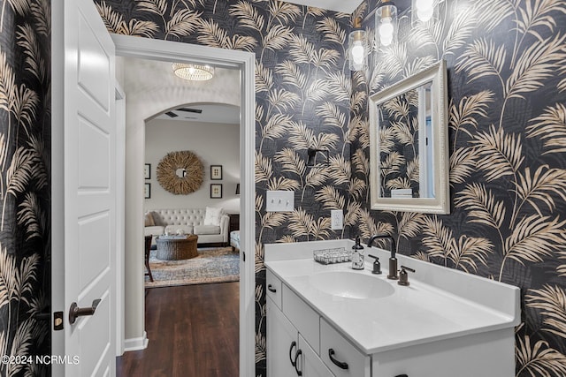 bathroom with wood-type flooring and vanity