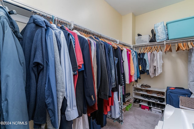 walk in closet featuring carpet floors