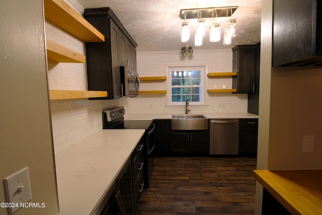 kitchen with dark brown cabinetry, sink, appliances with stainless steel finishes, and dark wood-type flooring