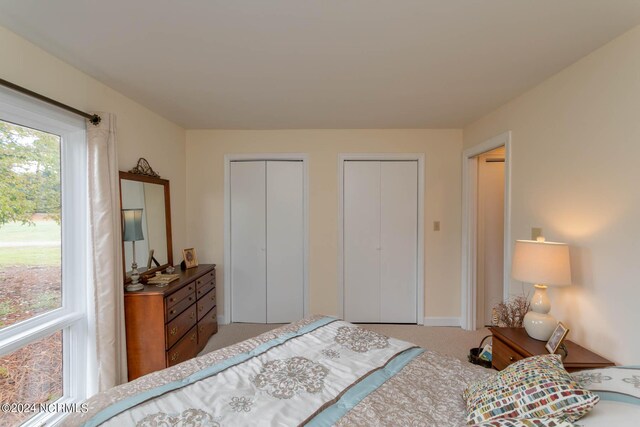 carpeted bedroom with multiple closets