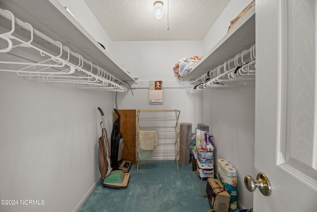 spacious closet with dark colored carpet