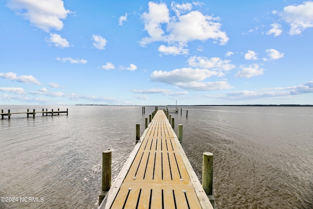 dock area with a water view