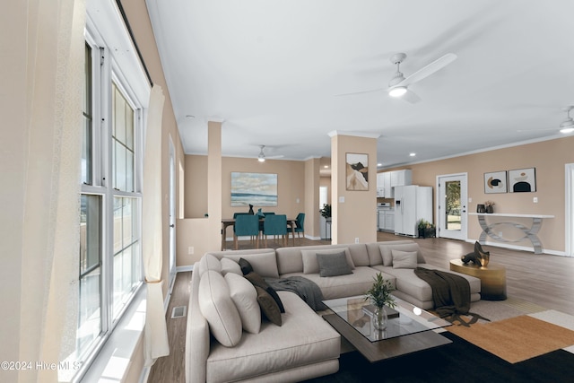 living room with ceiling fan, wood-type flooring, and ornamental molding