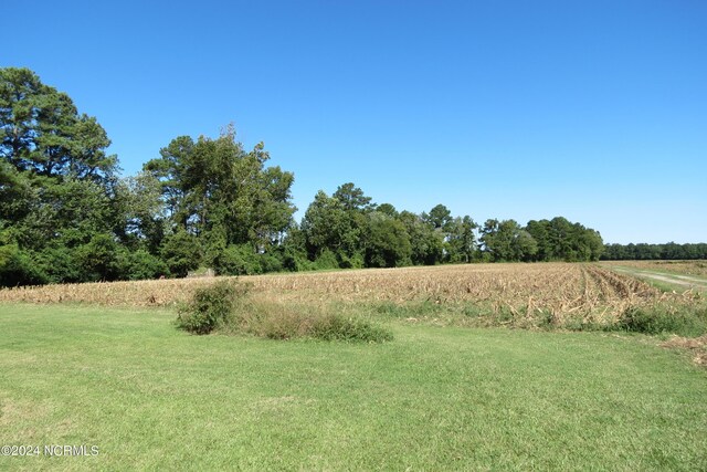 view of yard with a rural view