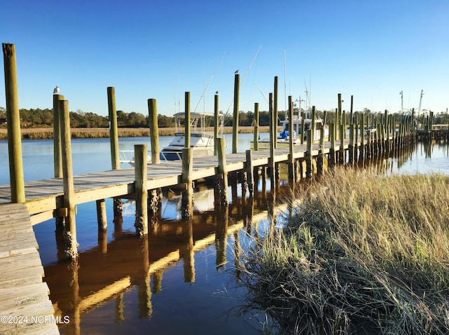 dock area with a water view