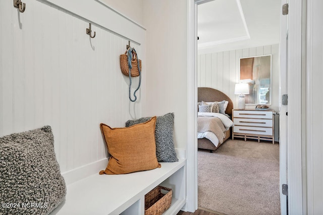 mudroom with a tray ceiling and carpet