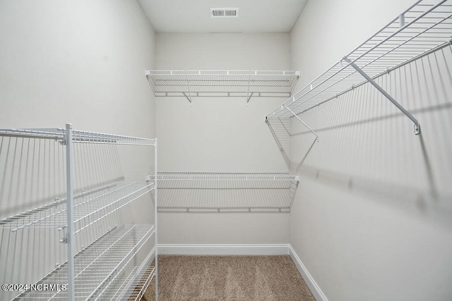 spacious closet with carpet