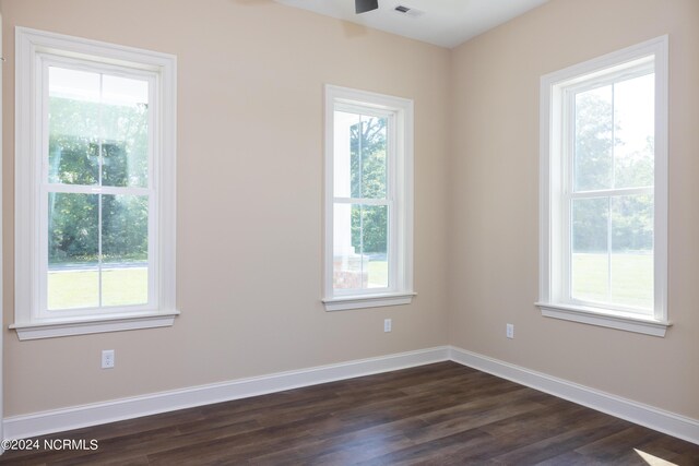 empty room featuring dark hardwood / wood-style floors