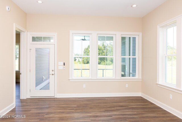 foyer entrance featuring a healthy amount of sunlight and dark hardwood / wood-style flooring