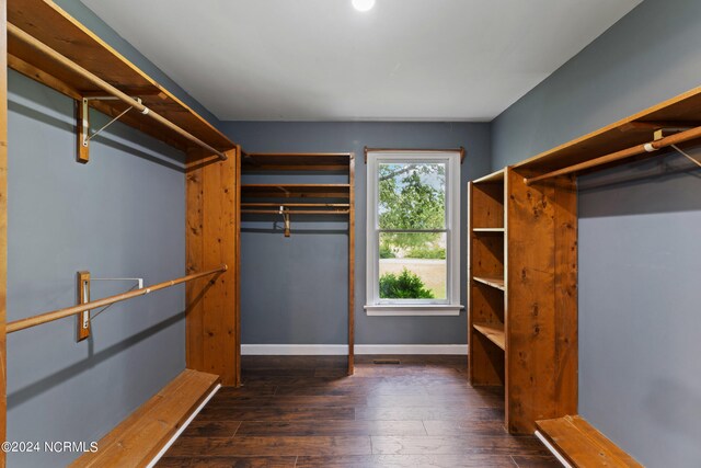 walk in closet with dark wood-type flooring