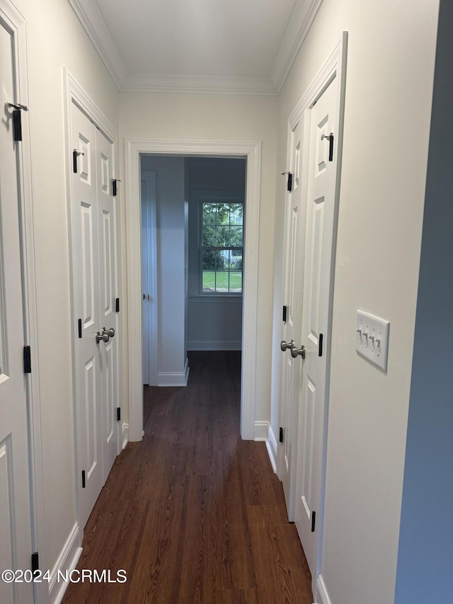 403 Main St, Bayboro, NC 28515 - hall with dark wood-style flooring, ornamental molding, and baseboards