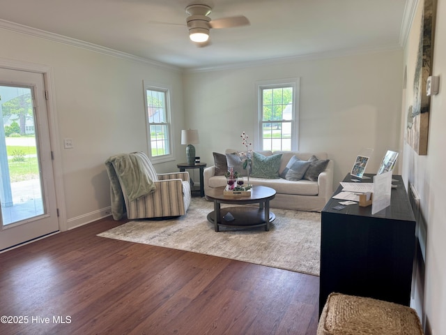 403 Main St, Bayboro, NC 28515 - living area with wood finished floors, healthy amount of natural light, a ceiling fan, and ornamental molding