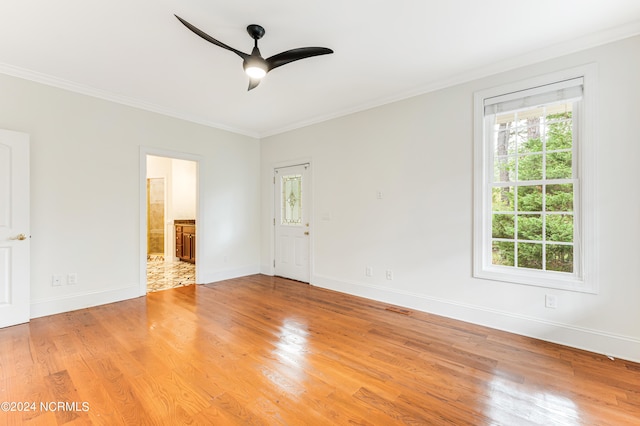 unfurnished room with ceiling fan, light wood-type flooring, and crown molding