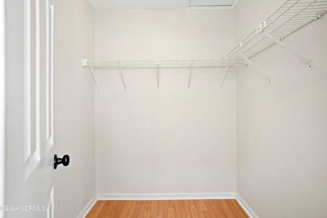 spacious closet featuring hardwood / wood-style floors