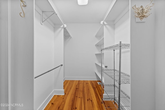 spacious closet featuring wood-type flooring