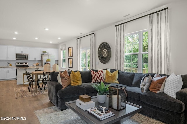 living room with wood-type flooring and plenty of natural light