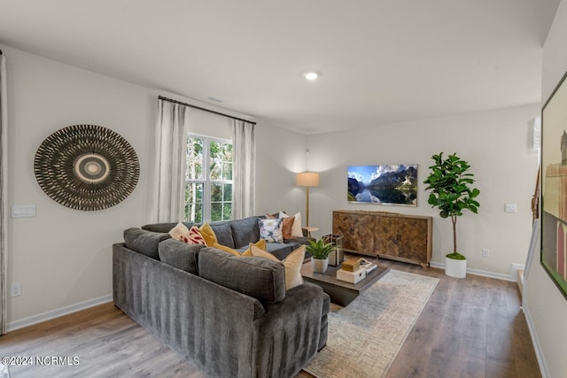 living room featuring hardwood / wood-style floors