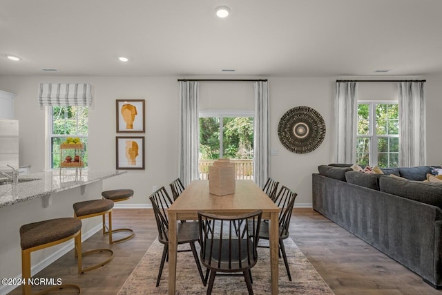 dining space featuring a healthy amount of sunlight, wood-type flooring, and sink