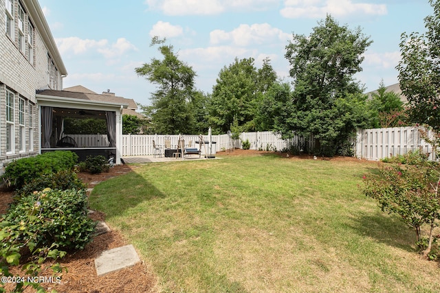 view of yard featuring a patio