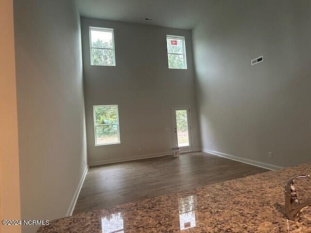 interior space featuring dark hardwood / wood-style floors and a towering ceiling