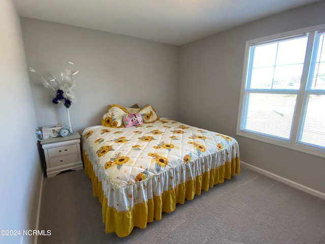 bedroom with carpet floors