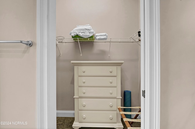 walk in closet featuring dark colored carpet