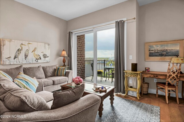 living room featuring hardwood / wood-style flooring