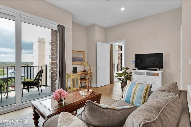 living room featuring light hardwood / wood-style floors