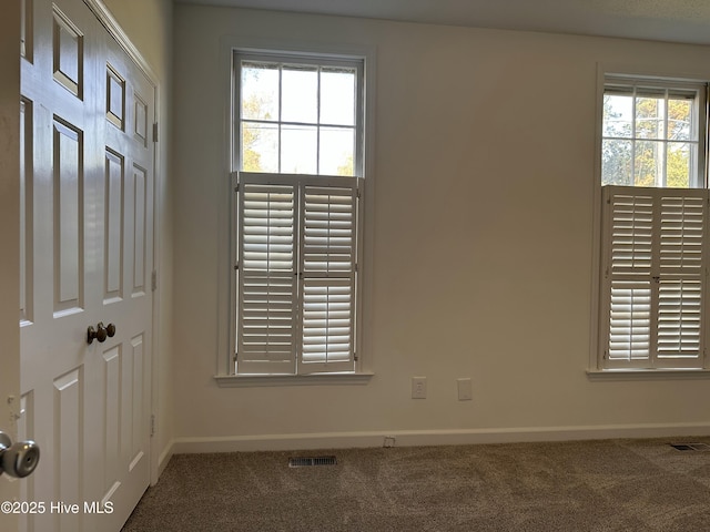 unfurnished room with carpet and a wealth of natural light