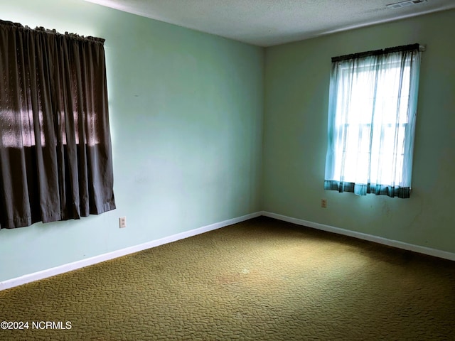 carpeted spare room with plenty of natural light and a textured ceiling