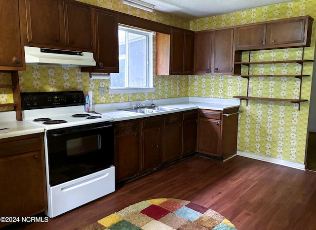 kitchen featuring white electric range, a textured ceiling, sink, dark hardwood / wood-style floors, and dark brown cabinetry