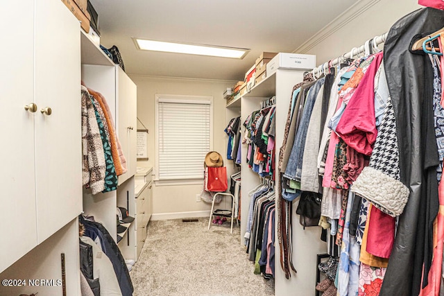 spacious closet with light carpet