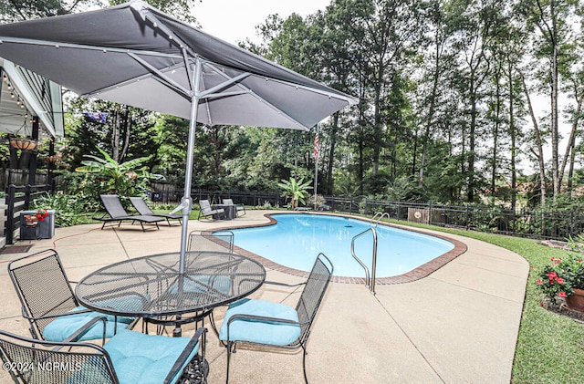 view of pool with a patio