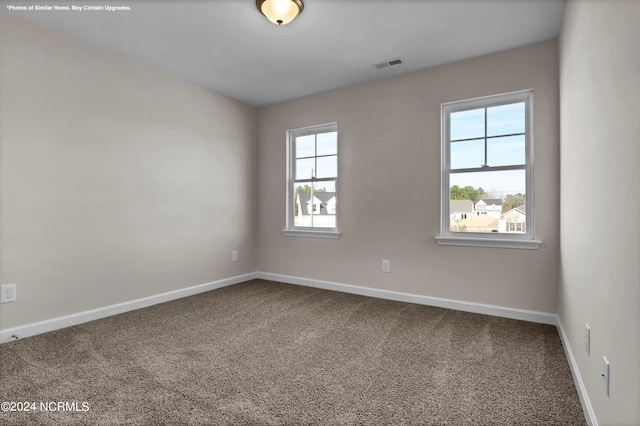 spare room featuring a wealth of natural light and carpet