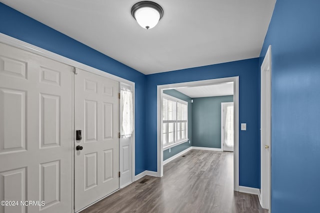 foyer entrance featuring dark hardwood / wood-style floors