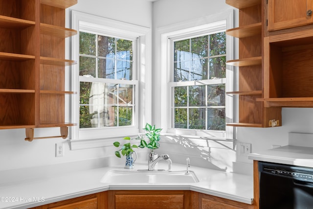 kitchen with dishwasher and sink