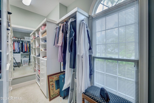 spacious closet with carpet flooring